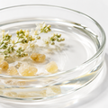 Frankincense Hydrosol Liquid Macro
