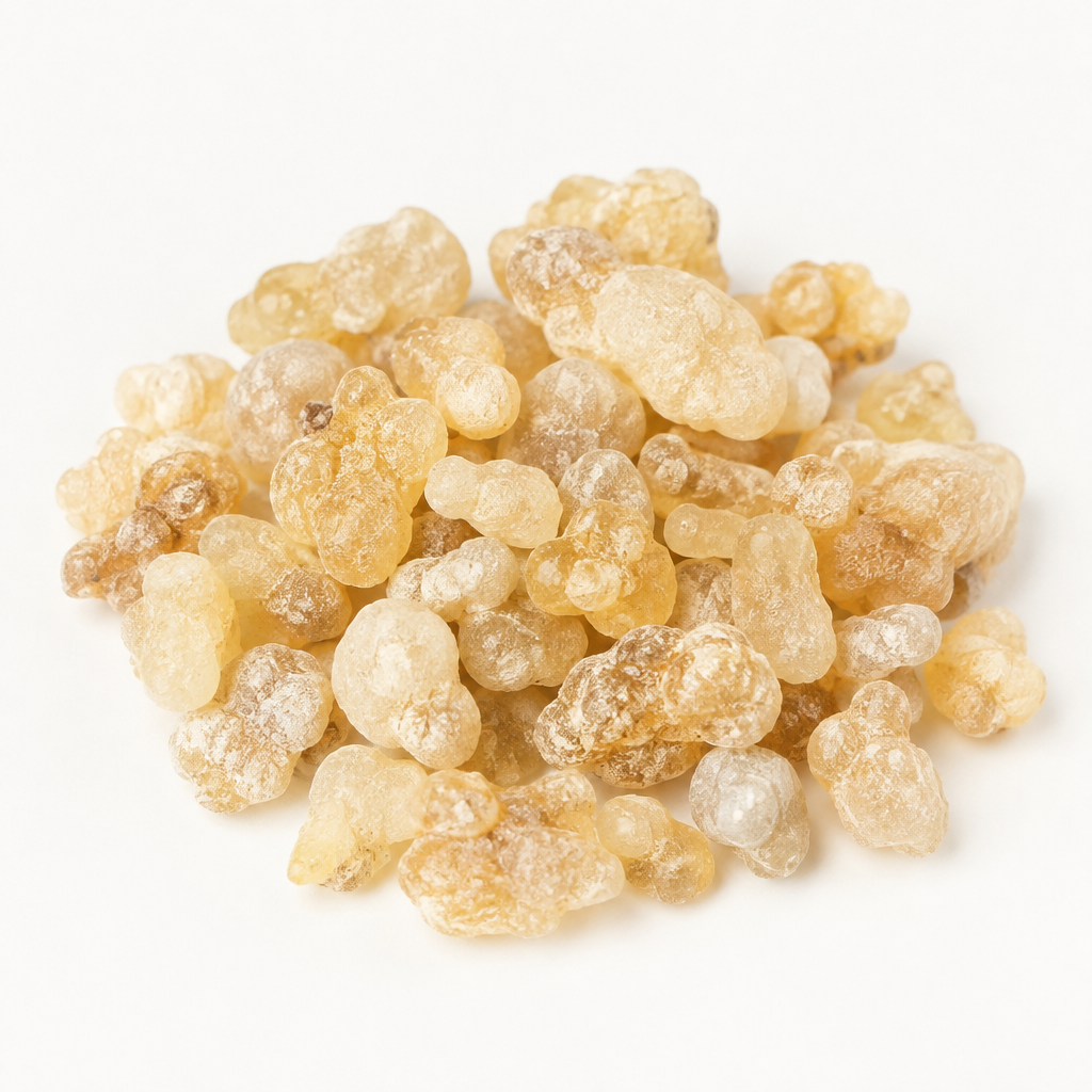 Frankincense Tears B. occulta Shot 1