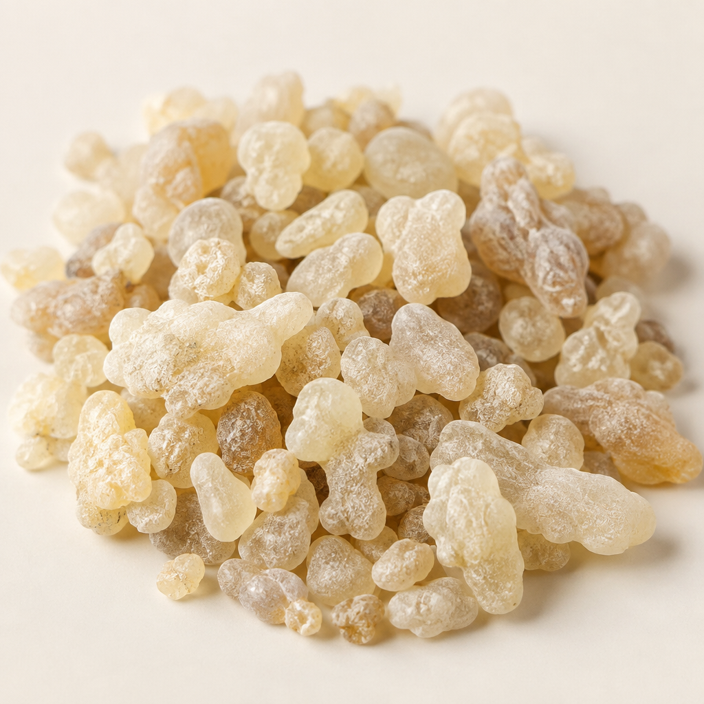 Frankincense Tears B. occulta Shot 3